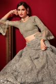Embroidered Net Oat Beige Panelled Style Lehenga