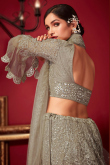 Embroidered Net Oat Beige Panelled Style Lehenga