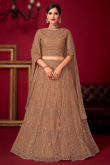Embroidered Net Light Brown Panelled Style Lehenga 