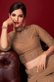 Embroidered Net Light Brown Panelled Style Lehenga 