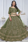 Army Green Net Resham Embroidered Panelled Style Lehenga