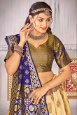 Art Silk Dark Beige Zari Weaved Flared Style Lehenga