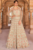 Beige Bangalori Silk Plain Lehenga