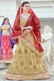 Beige Net Zari Embroidered Lehenga