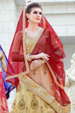 Beige Net Zari Embroidered Lehenga