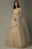 Beige Net Embroidered Party Wear Lehenga
