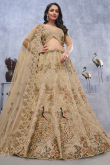 Beige Net Stone Embroidered Panelled Style Lehenga
