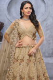 Beige Net Stone Embroidered Panelled Style Lehenga
