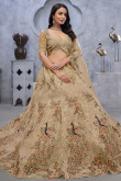 Beige Net Stone Embroidered Panelled Style Lehenga