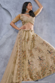 Beige Net Stone Embroidered Panelled Style Lehenga