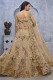 Beige Net Stone Embroidered Panelled Style Lehenga