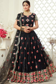 Black Embroidered Net A Line Lehenga
