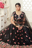Black Embroidered Net A Line Lehenga