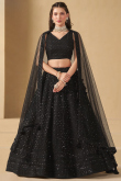 Black Georgette Panelled Style Lehenga with Sequins Work