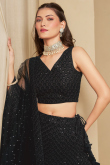 Black Georgette Panelled Style Lehenga with Sequins Work