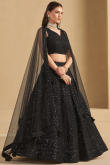 Black Georgette Panelled Style Lehenga with Sequins Work