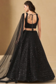 Black Georgette Panelled Style Lehenga with Sequins Work