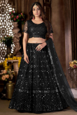Black Net A Line Lehenga