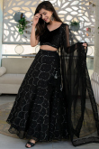 Black Organza Lehenga with Mirror Work for Party