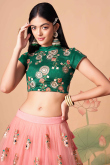 Blush Pink Net A Line Lehenga