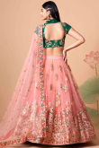 Blush Pink Net A Line Lehenga