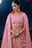 Blush Pink Net Embroidered Panelled Lehenga 