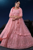 Blush Pink Net Embroidered Panelled Lehenga 
