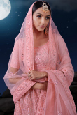 Blush Pink Net Embroidered Panelled Lehenga 