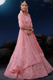 Blush Pink Net Embroidered Panelled Lehenga 