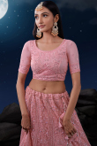 Blush Pink Net Embroidered Panelled Lehenga 