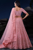Blush Pink Net Embroidered Panelled Lehenga 
