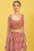 Brick Red Organza Embroidered Lehenga With Print 