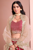 Brick Red Silk Embroidered Panelled Style Lehenga