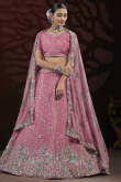 Carnation Pink Chinnon Embroidered Panelled Style Lehenga