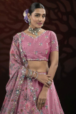 Carnation Pink Chinnon Embroidered Panelled Style Lehenga