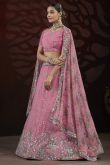 Carnation Pink Chinnon Embroidered Panelled Style Lehenga
