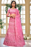 Carnation Pink Net Embroidered Panelled Style Lehenga