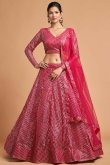 Carrot Pink Net Embroidered Lehenga