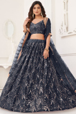 Charcoal Grey Embroidered Flared Style Net Lehenga