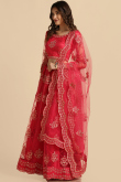 Cherry Red Net Embroidered Panelled Style Lehenga