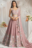 Chinnon Resham Embroidered Dusty Pink Panelled Lehenga