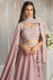Chinnon Resham Embroidered Dusty Pink Panelled Lehenga