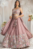 Chinnon Resham Embroidered Dusty Pink Panelled Lehenga