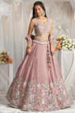 Chinnon Resham Embroidered Dusty Pink Panelled Lehenga