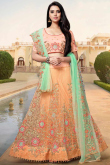 Coral Peach Net Lehenga with Silk Choli