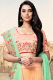 Coral Peach Net Lehenga with Silk Choli