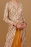 Cream Beige Chiffon Plain A Line Lehenga