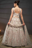 Cream Dori Embroidered Net Panelled Style Lehenga