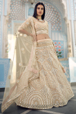 Cream Georgette Resham Embroidered Panelled Lehenga