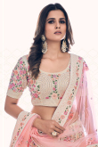 Cream Net Fancy Lehenga